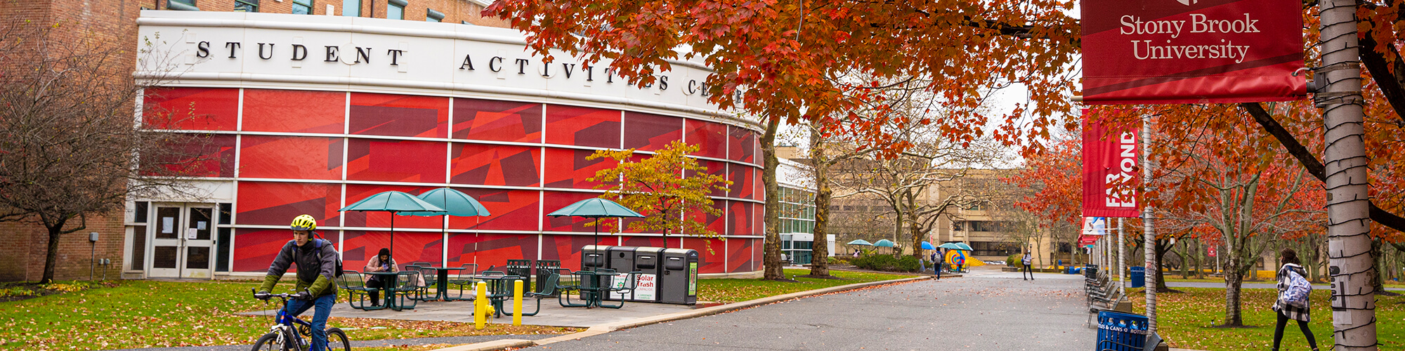 Fall on campus