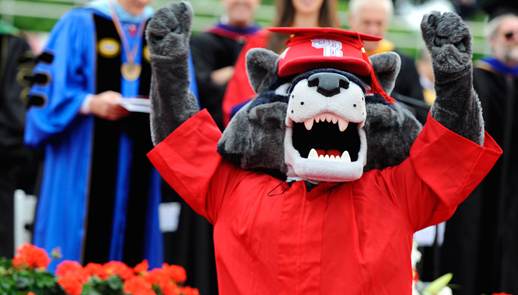 Wolfie Graduation