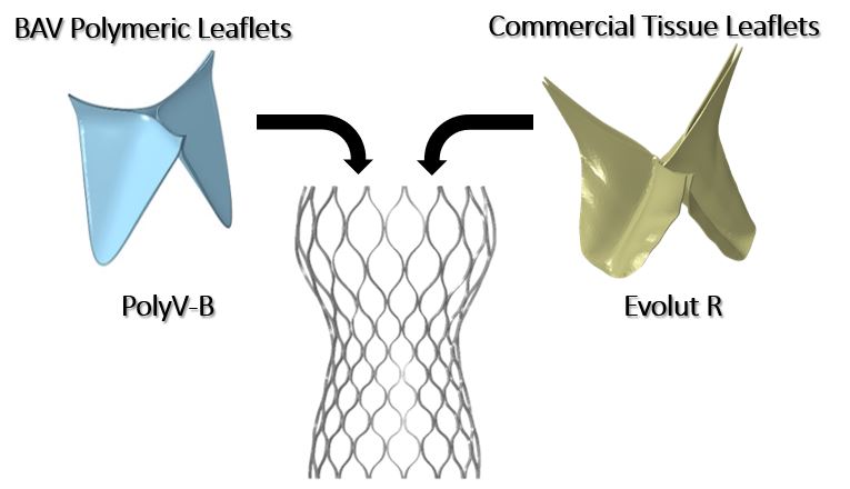 PolyVB_EvolutR_Compare