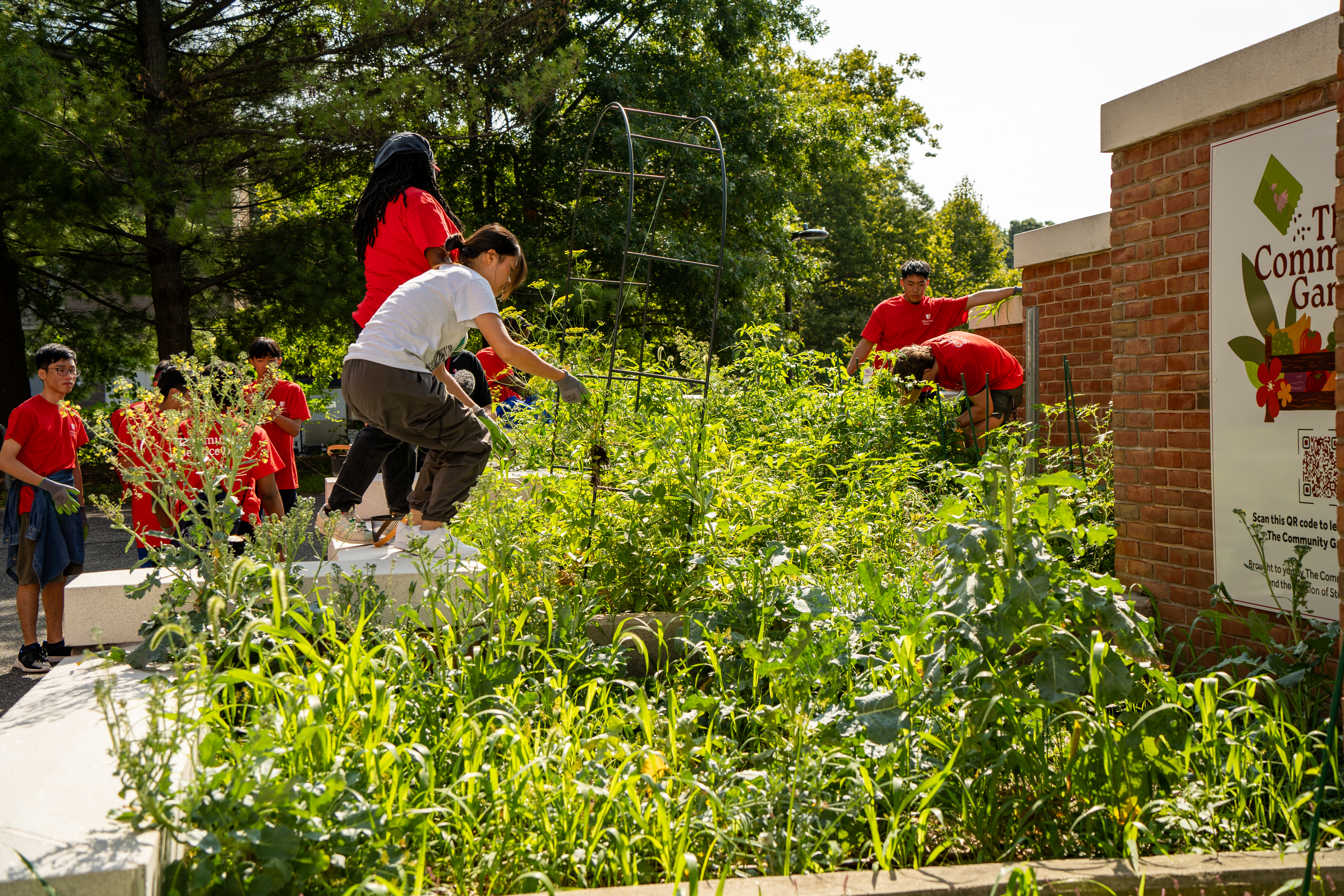 Students gardening Community Service Day