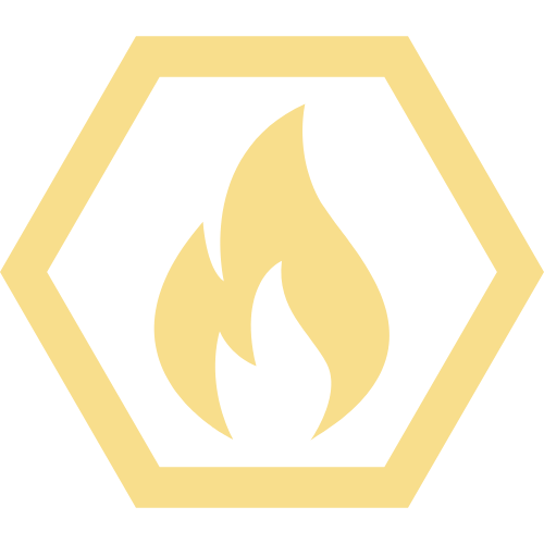 safety icon