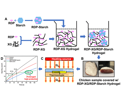 Synthesis of an Effective Flame-Retardant Hydrogel for Skin Protection Using Xanthan Gum and Resorcinol Bis(diphenyl phosphate)-Coated Starch