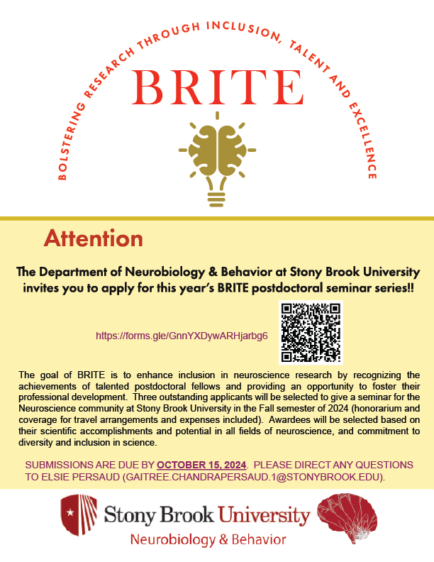 BRITE Flyer