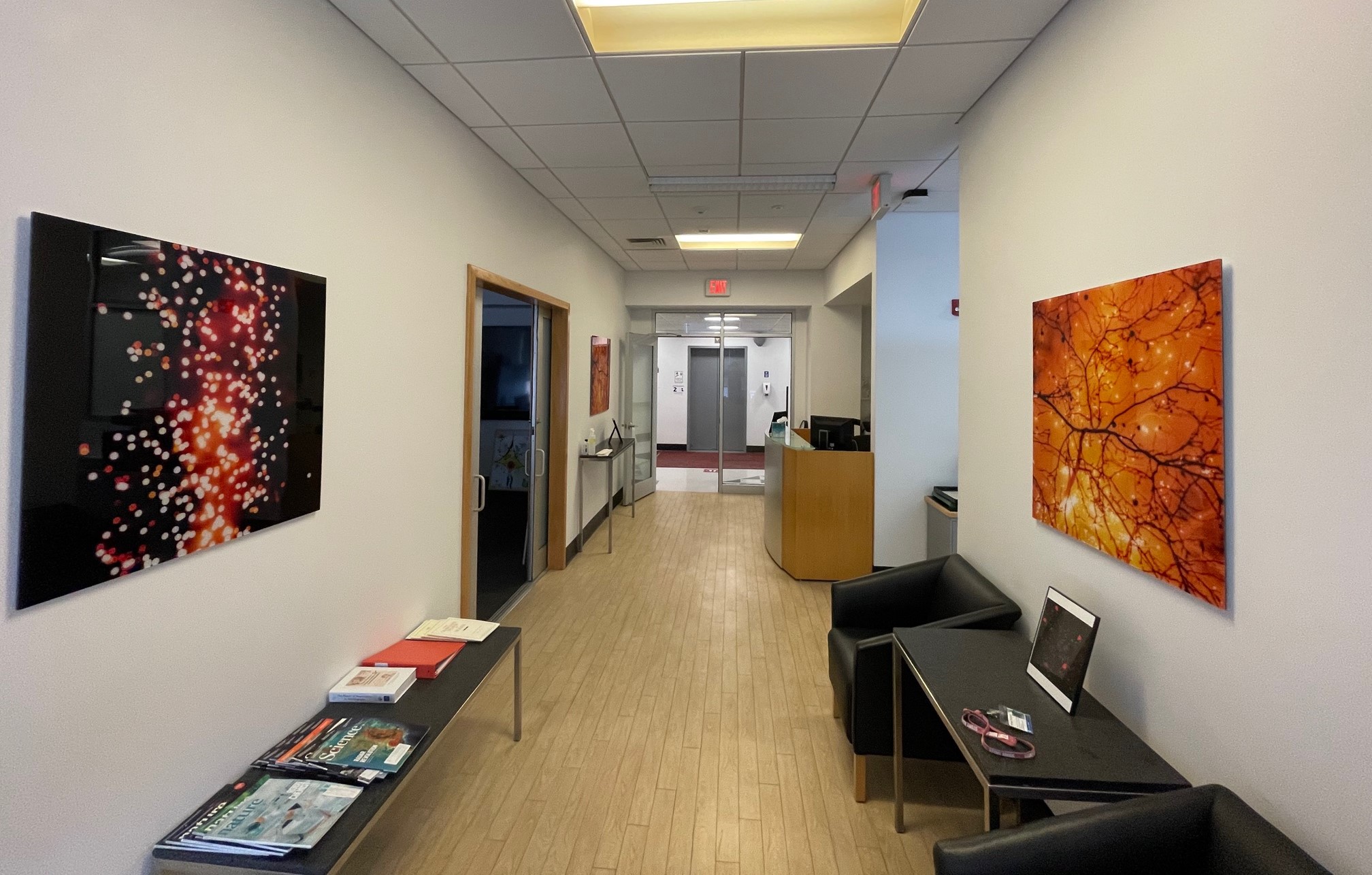 View of an office hallway with long tables on each side and orange and black images that look like neurons on each wall. The front door is at the end of the hallway, in the middle of the photo.