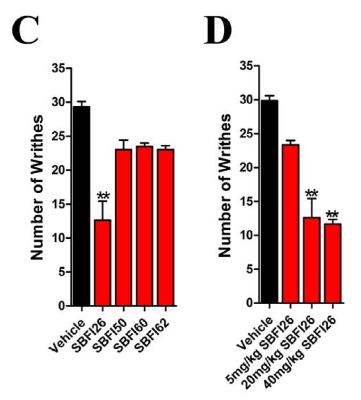 Figure 6b