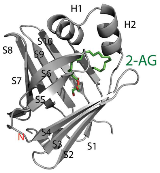 Figure 7b