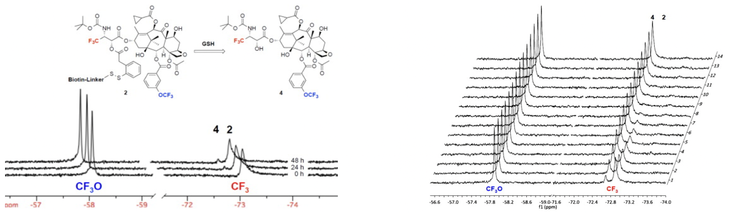 metabolic_2