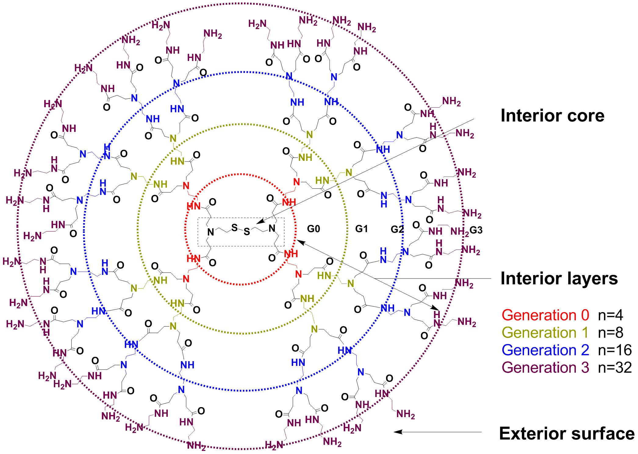 dendrimer