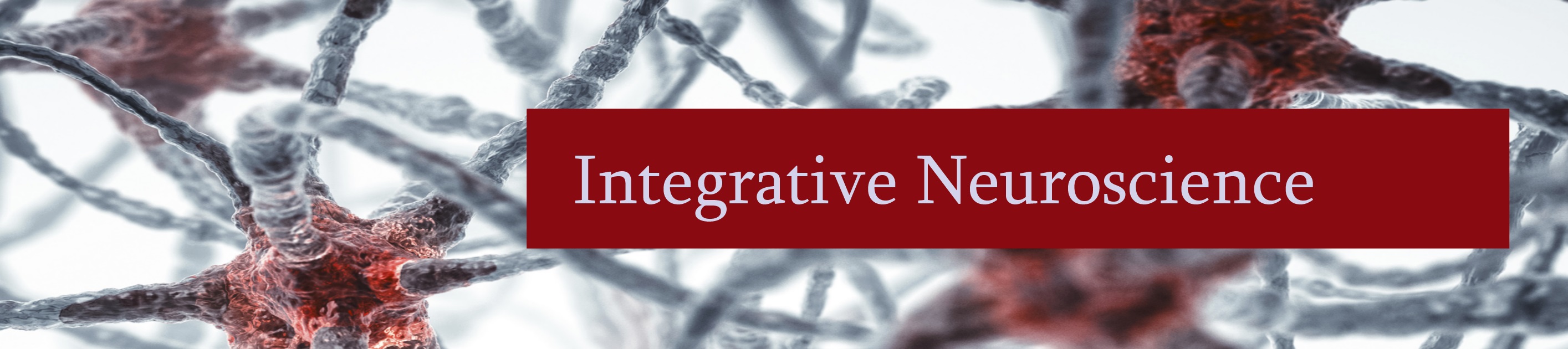 integrative neuroscience banner picture