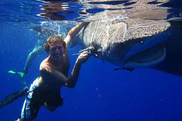 Jake Labelle with a tagged shark